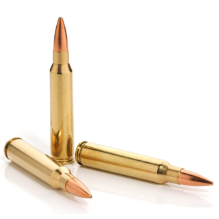 Corinium Rifle Range Target & Hunting Ammunition