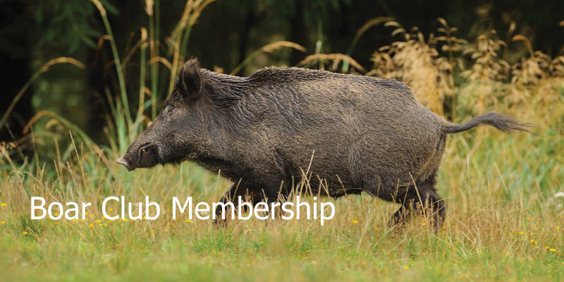 Running Boar Club Membership